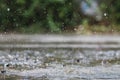 Rain is falling heavily due to sudden thunderstorms and summer storms, causing the downpours to not be able to drain quickly into Royalty Free Stock Photo