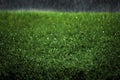 Rain Falling on Lush Green Grass Lawn Rainstorm Storm Drops Drips Water Royalty Free Stock Photo