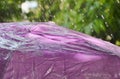 Rain falling on violet umbrella in garden