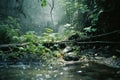 rain falls on a stream in the jungle