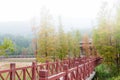 Rain and fog weather in Spring. Lake side path in Xinhui Shijian park,Jiangmen,Guangdong,China. Royalty Free Stock Photo