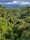 Rain forest in Costa Rica, Hanging Bridges area