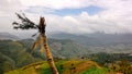 Rain forest destruction Royalty Free Stock Photo