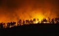 Rain forest fire disaster is burning caused by humans Royalty Free Stock Photo