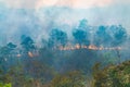 Rain forest fire disaster is burning caused by humans Royalty Free Stock Photo