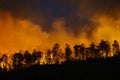 Rain forest fire disaster is burning caused by humans Royalty Free Stock Photo