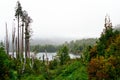 Rain Forest and lake, Chile