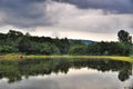 Rain on forest lake and on the water drops Royalty Free Stock Photo