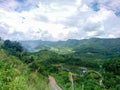 Rain forest North thailand tree nature