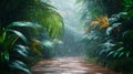 Rain Forest Path Lush Greenery Tropical Downpour Royalty Free Stock Photo