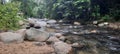 Rain forest river for relaxation camping or picnic