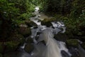 Rain Forest Stream - Long Exposure Royalty Free Stock Photo