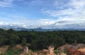 Rain forest in Thailand.