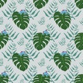 Tropical diamond array repeat seamless pattern of leaves and blue tree frogs on green background Royalty Free Stock Photo