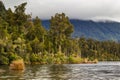 Lake Kaniere Shoreline