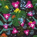 Rain forest tropical jungle pattern with colorful poison dart frogs and foliage