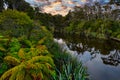 Rain forest and tropical trees and calm ponds reflecting the morning sky, the lush green looks fresh and bright Royalty Free Stock Photo