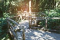 rain forest walk way in Ang Ka nature trail located in Doi inthanon national park, the highest peak in Thailand Royalty Free Stock Photo