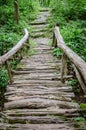 rain forest walk way Royalty Free Stock Photo