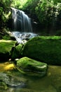 Rain Forest Waterfall