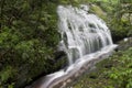 Rain forest waterfall Royalty Free Stock Photo