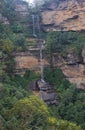 Rain Forest Waterfall Panorama