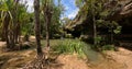 Rain forest waterfall, pure unattached nature, Isalo national park Madagascar wilderness landscape