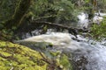 Rain forest waterfall, Tasmania, Australia Royalty Free Stock Photo