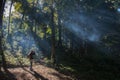 Rain forest woman photographer hiking