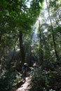 Rain forest woman photographer hiking