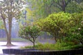 Rain in Gardens by the Bay - Botanic gardens in Singapore Royalty Free Stock Photo