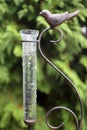 Rain Gauge Filled up with 5 Inches of Water after Heavy Storms Royalty Free Stock Photo