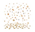 Rain from Golden Coins. Falling Gold Coins