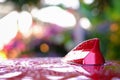 After rain GPS antenna shark fin shape on a roof of car for radio navigation system. outdoor car radio antenna, transport concept Royalty Free Stock Photo