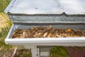Rain Gutter Clogged With Leaves Royalty Free Stock Photo