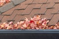 Leaves and debris clog rain gutter on home, close up Royalty Free Stock Photo