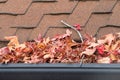 Close up on rain gutter clogged with leaves and debris Royalty Free Stock Photo