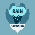 Rain Harvesting Palm Royalty Free Stock Photo