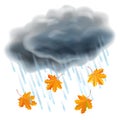 Rain illustration. Realistic gray clouds, raindrops and leaves Royalty Free Stock Photo