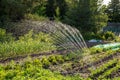 Rain imitation spinning water irrigation system in home domestic household vegetable garden.