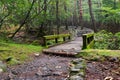 Rain in Kirishima mountains Royalty Free Stock Photo