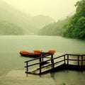 Rain on the lake Royalty Free Stock Photo
