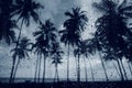 Rain low season monsoon on tropical island beach. Water drops on the glass and dark palm trees