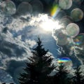 When the rain making of this rainbow circles on my window