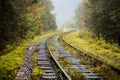 Rain on old railway track on forest landscape Royalty Free Stock Photo