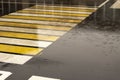 Rain outside. Pedestrian crossing in rainy weather Royalty Free Stock Photo