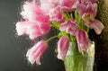 Rain outside pink tulips in the house in the rain Royalty Free Stock Photo