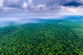 Rain over a dense green forest. aerial view