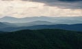 Rain over forest mountains. Misty mountain landscape hills at rainy day Royalty Free Stock Photo