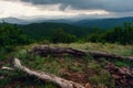 Rain over forest mountains. Misty mountain landscape hills at rainy day Royalty Free Stock Photo